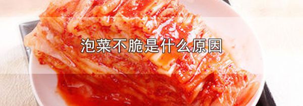 泡菜不脆是什么原因