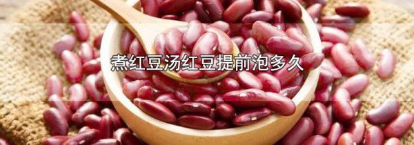 煮红豆汤红豆提前泡多久