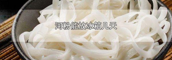 河粉能放冰箱几天