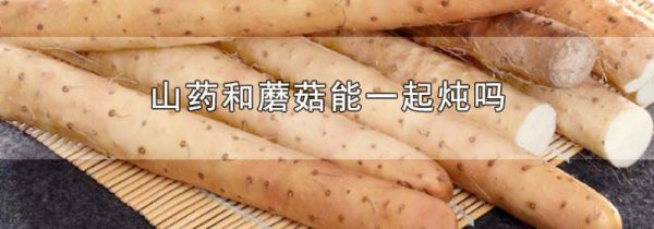山药和蘑菇能一起炖吗
