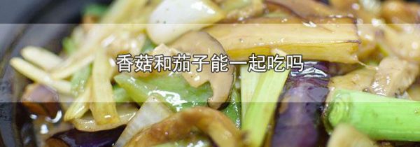 香菇和茄子能一起吃吗