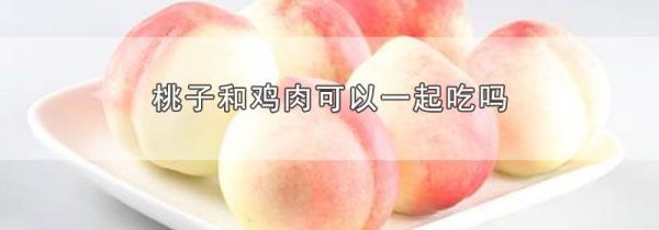 桃子和鸡肉可以一起吃吗