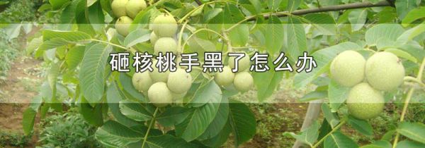 砸核桃手黑了怎么办