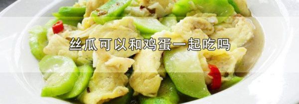 丝瓜可以和鸡蛋一起吃吗