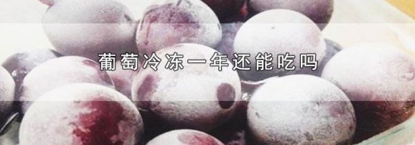 葡萄冷冻一年还能吃吗