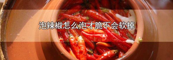 泡辣椒怎么泡才脆不会软掉