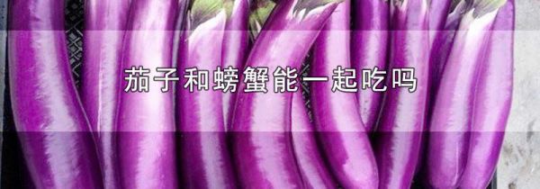 茄子和螃蟹能一起吃吗