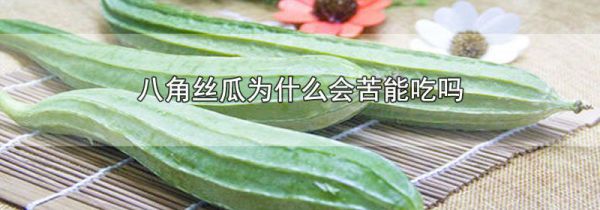 八角丝瓜为什么会苦能吃吗