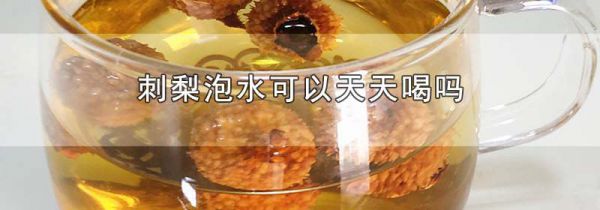 刺梨泡水可以天天喝吗