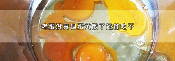 鸡蛋没臭但蛋黄散了还能吃不