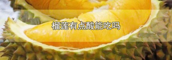 榴莲有点酸能吃吗