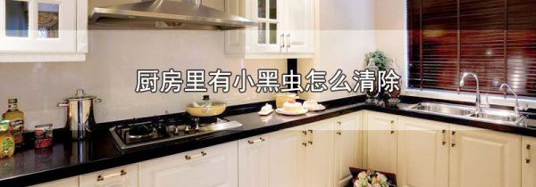 厨房里有小黑虫怎么清除