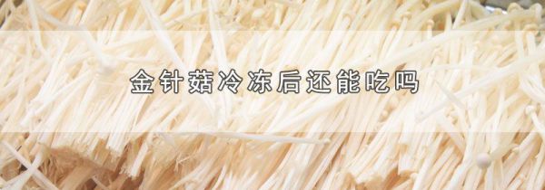 金针菇冷冻后还能吃吗