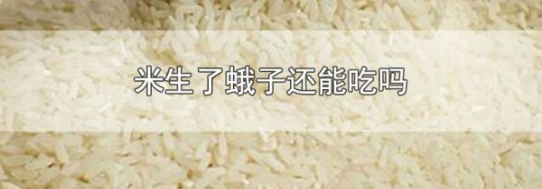 米生了蛾子还能吃吗