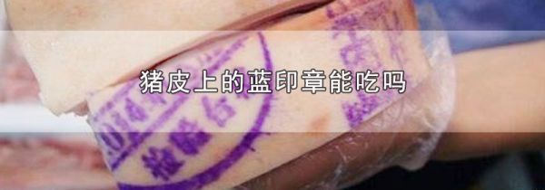 猪皮上的蓝印章能吃吗