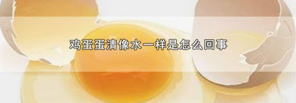 鸡蛋蛋清像水一样是怎么回事