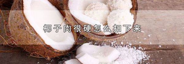 椰子肉很硬怎么扣下来