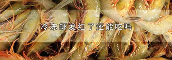 冷冻虾发红了还能吃吗