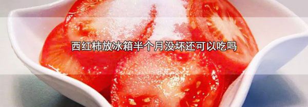 西红柿放冰箱半个月没坏还可以吃吗