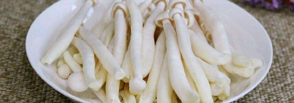 海鲜菇可以和鸡蛋一起吃吗