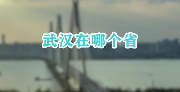 武汉在哪个省
