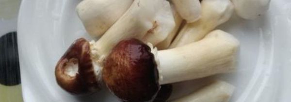 松茸能冷冻吗?