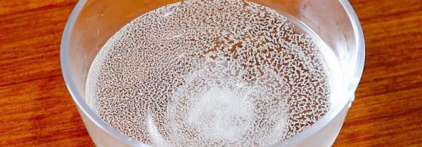 夏天酵母用温水还是冷水