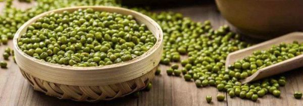 绿豆和蜂蜜可以一起吃吗