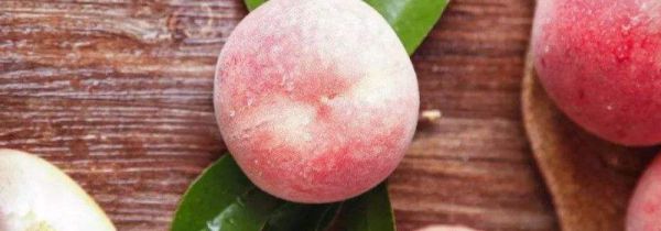 桃子能空腹食用吗