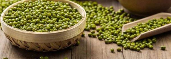 绿豆和赤小豆能一起煮吗