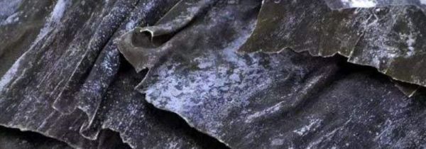 发霉的海带洗干净还能吃吗