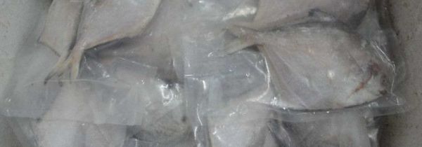 速冻食物如何快速化冰