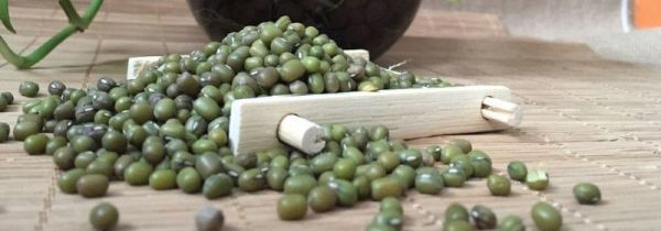 红薯和绿豆能一起吃吗