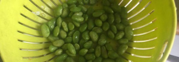 毛豆焯水要多久
