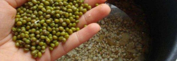 煮绿豆应该用冷水还是热水