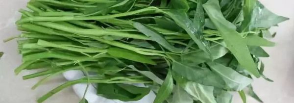 怎么摘空心菜