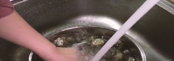 花甲怎么清洗