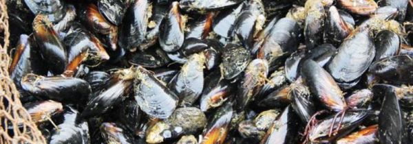 海虹怎么清洗