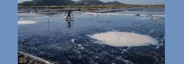 海盐能吃吗