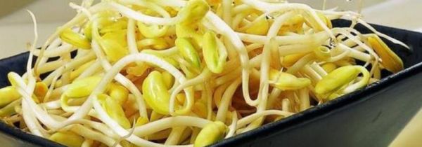 豆芽根能吃吗