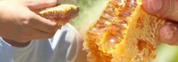泥巴土蜂窝有什么用