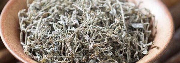 藤茶的禁忌