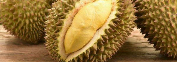 母榴莲的特征
