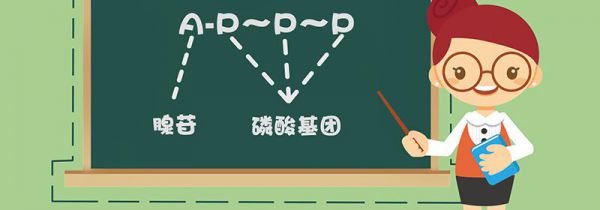 atp是什么