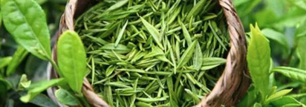 四季喝茶口诀