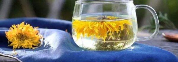菊花茶能和柠檬一起泡吗