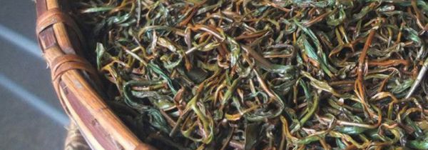 红茶的制茶过程