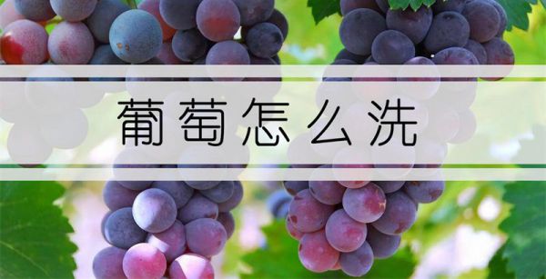 葡萄怎么洗