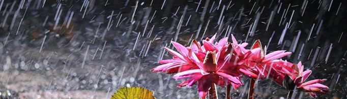 适合雨天发的朋友圈有哪些？