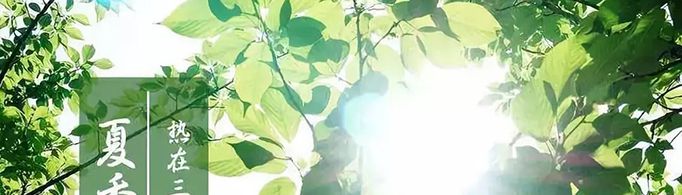 三伏天从什么时候开始算？